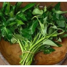 Benih Sayuran Kangkung